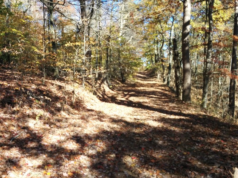 Tree Lane Trail view from ridge south toward New Albany IN.