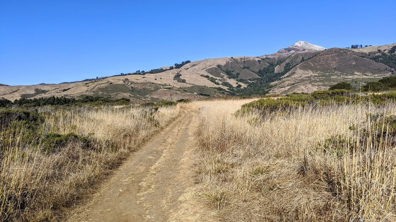 Ridge to Bluff Connector Trail