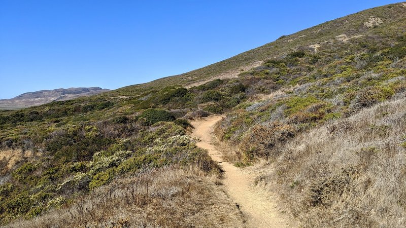 Dusty Bluffs Trail