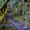 Boardwalk on Parkside Trail.