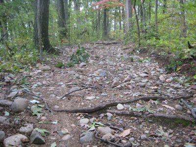 Yankee Springs Original Tee — NATURE WALK