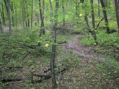 Yankee Springs RA: Hall Lake Trail