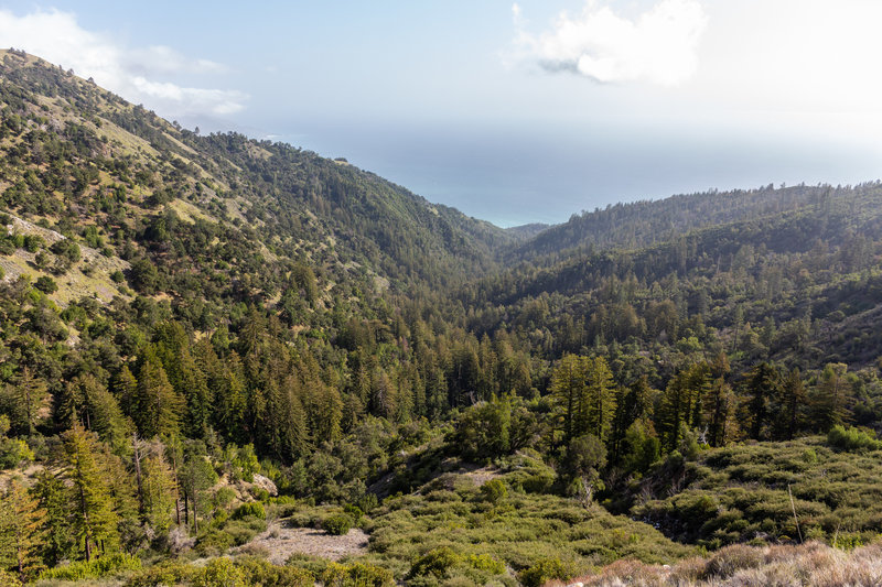 Ocean view from Gamboa Trail