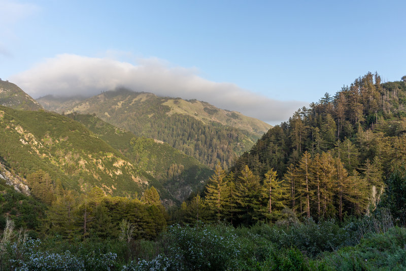 Sunset over Limekiln State Park.