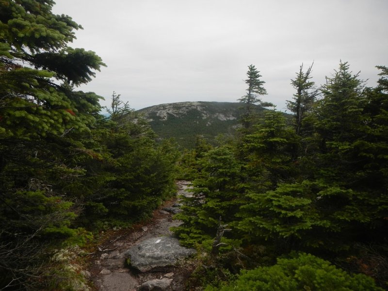 Grafton Notch to East B Hill Road