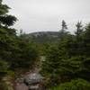 Grafton Notch to East B Hill Road