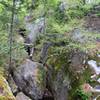 Through the Moose Cave.