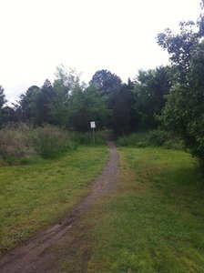 tennis court loop