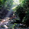 Sun Rays Jacob Fork South Mountains SP