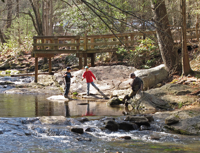 Fisherman on the Jakob Fork