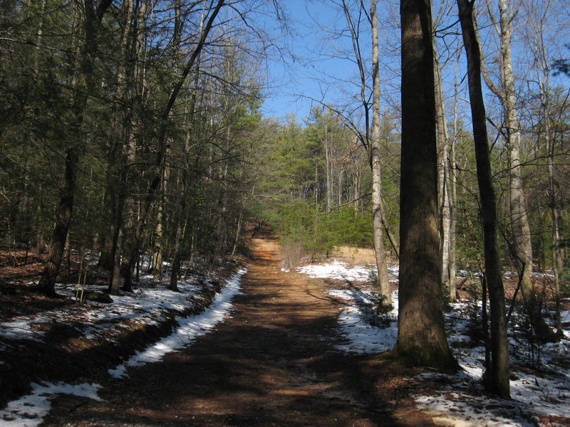 High Shoals Falls Loop