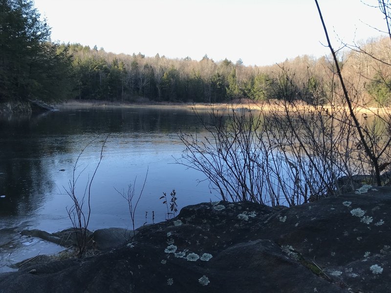 View of Beaver Pond from Beaver Brook Trail.