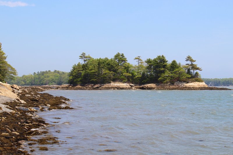 Googins Island