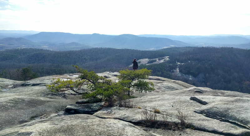 stone mountain