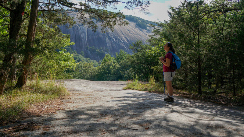 stone mountain