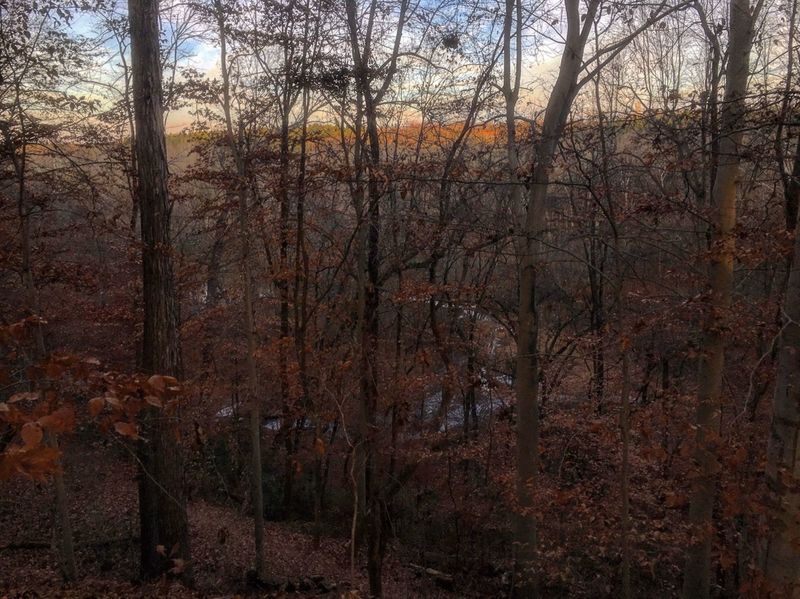 Long Creek peeks through the trees along the North Main Loop.