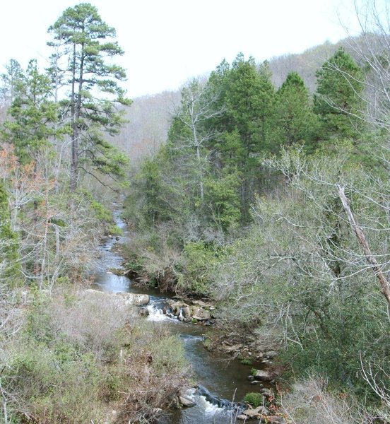 Barnes Creek from Jumping Off Rock