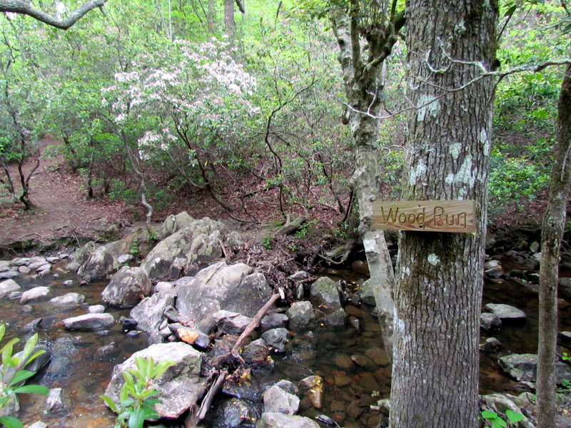 Wood Run Uwaharrie Trail Uwahrrie Nat Forest NC Uwaharrie Trail Uwahrrie Nat Forest NC