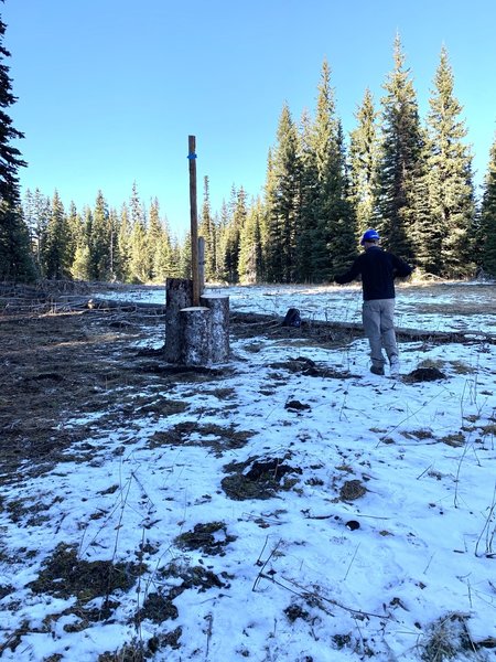 New marker to note sharp turn in trail into the forest when coming from the Horseshoe Prairie Trailhead.