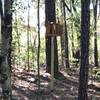 Some bird houses are more hidden than this one among the trees along the trail for bats, wood ducks among other winged animals.