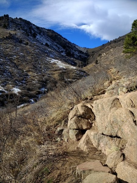 The trail is filled with rocks and some roots.