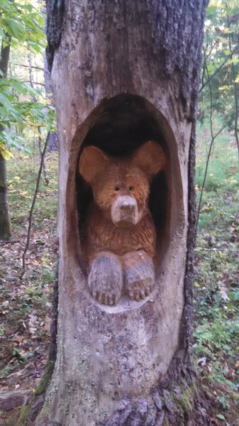 Nice carving on Bear Brook