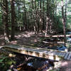 Bridge on Cascade Trail over Catamount Brook