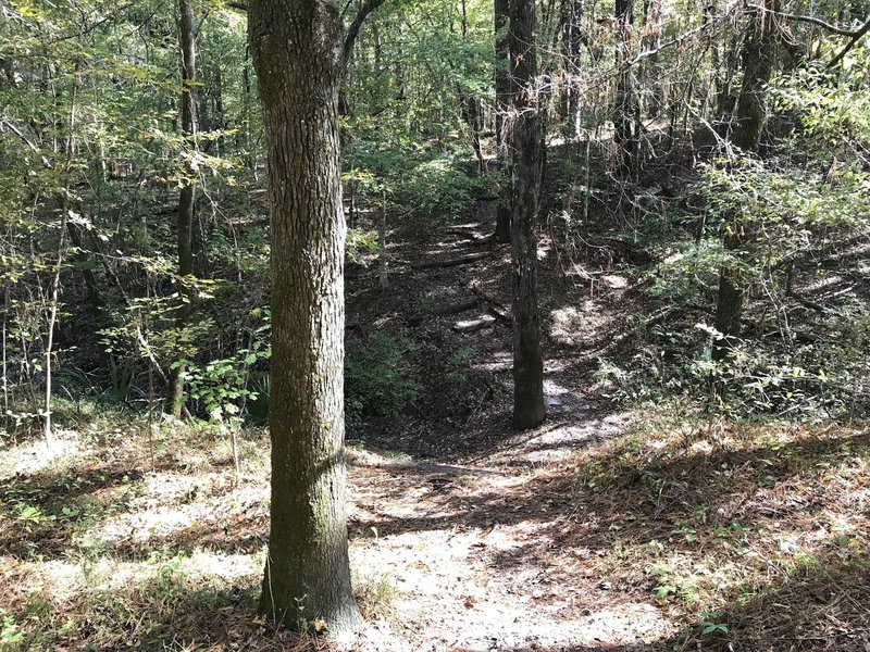 Probably biggest challenge for less mobile or adventure for others, down and up a ravine with stairs cut into the hill side that was a dry crossing as water seemed to fall into a hole, otherwise for the most part, trail is very little climbing.