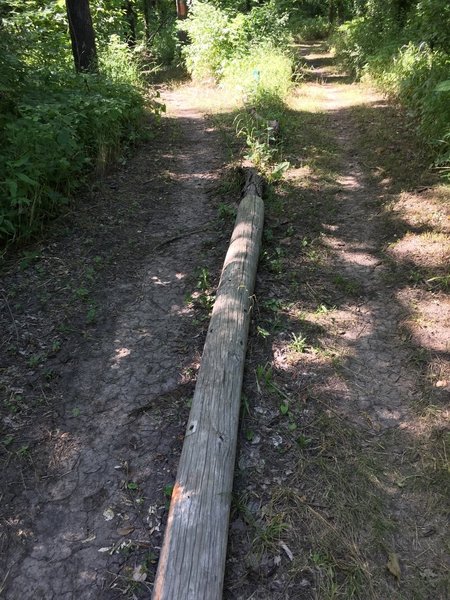 The pole separates the trail for about 20' of the total 60' the trails touch. Stay left each time you pass by..