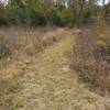 A nice part of the trail.