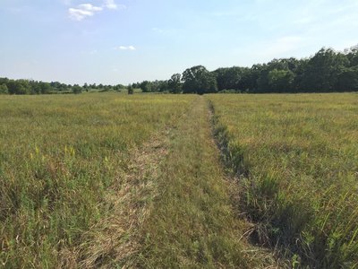 The tread disappears...needs more people!