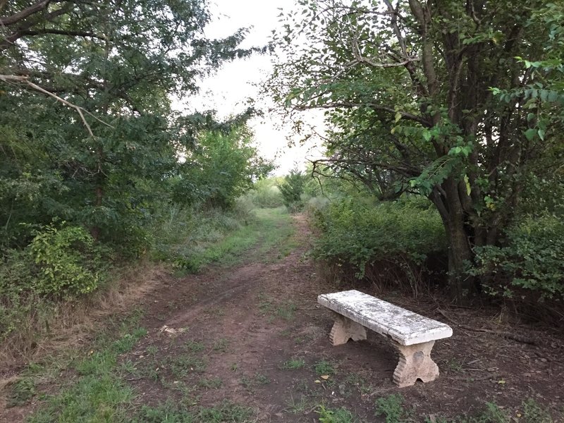 Another bench for the hikers...or worn out bikers...you pick!