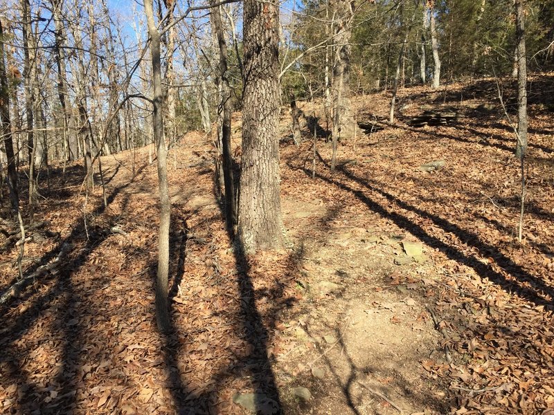 This is a mild switchback climb up the hill if you go counter-clockwise.