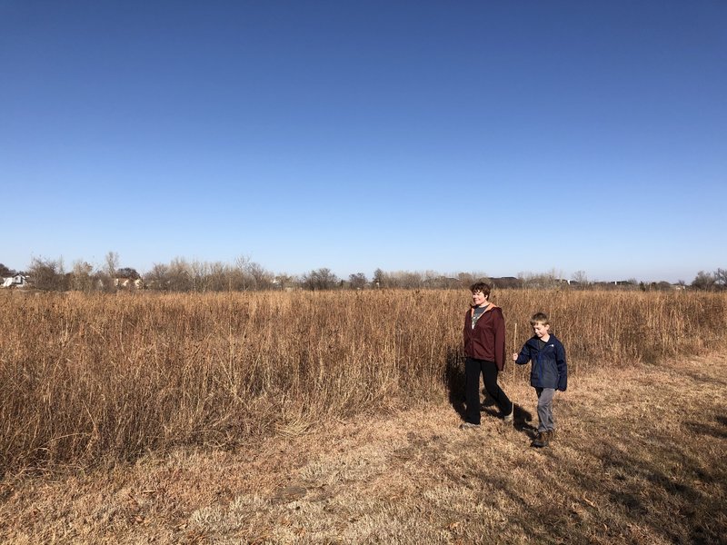 Some of the hike is in the middle of a prairie grass field, a mix of big and little bluestem grasses.