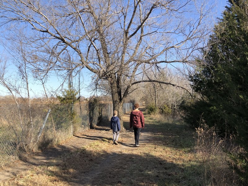 Walking the outer loop of the park on the north side. Looks like there used to be a trail through the woods in this section, but it is overgrown.