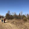 The trail merges at a drainage pipe crossing and there are several options to walk from here.