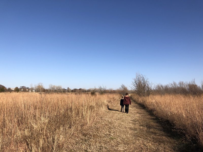 More of the big and little bluestem grassland.