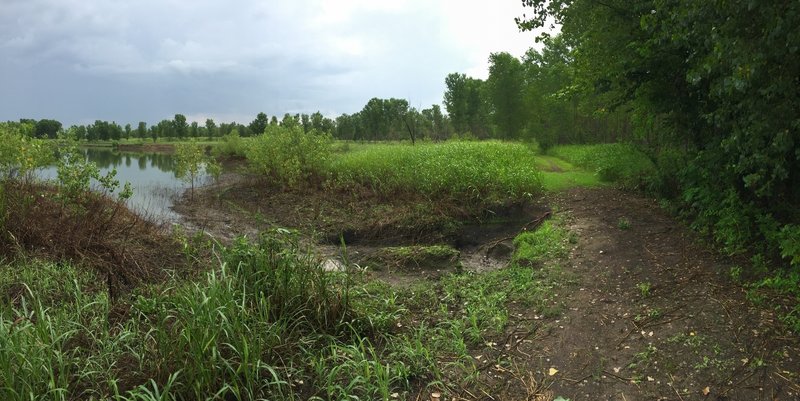 The wooded trail turns into a mix of single and doubletrack around the park