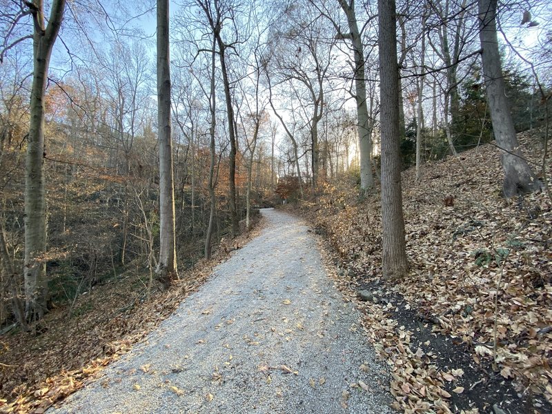 Top of the carriage trail in late fall