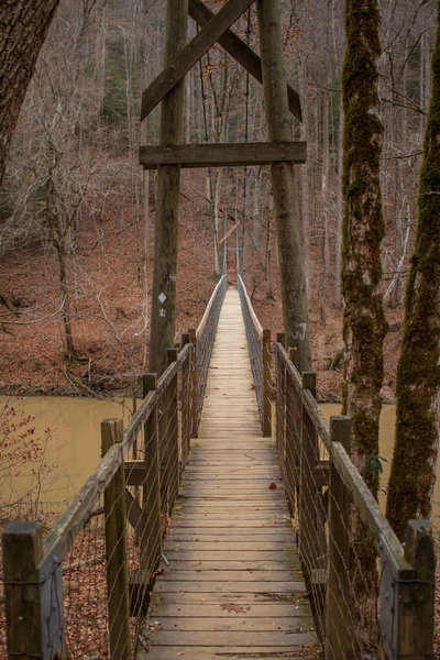 Suspension Bridge over the Red River along the Sheltowee Trace where it meets the spur from the parking lot to the south