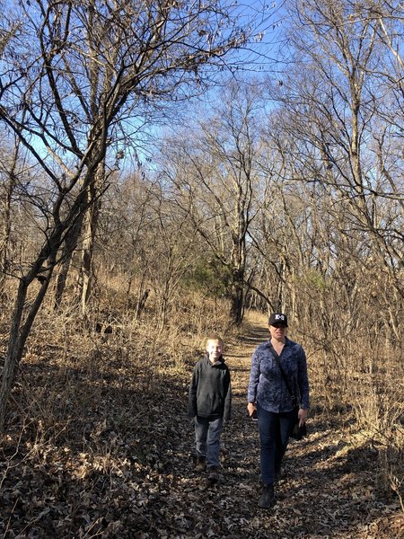 The bluff trail has both open areas and tree canopies.