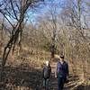 The bluff trail has both open areas and tree canopies.