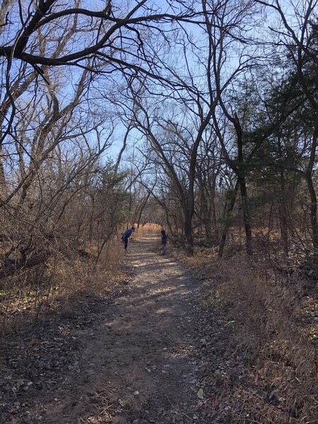 Sand and mud deposits along this section offer lots of critter footprints to check out!