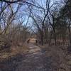 Sand and mud deposits along this section offer lots of critter footprints to check out!