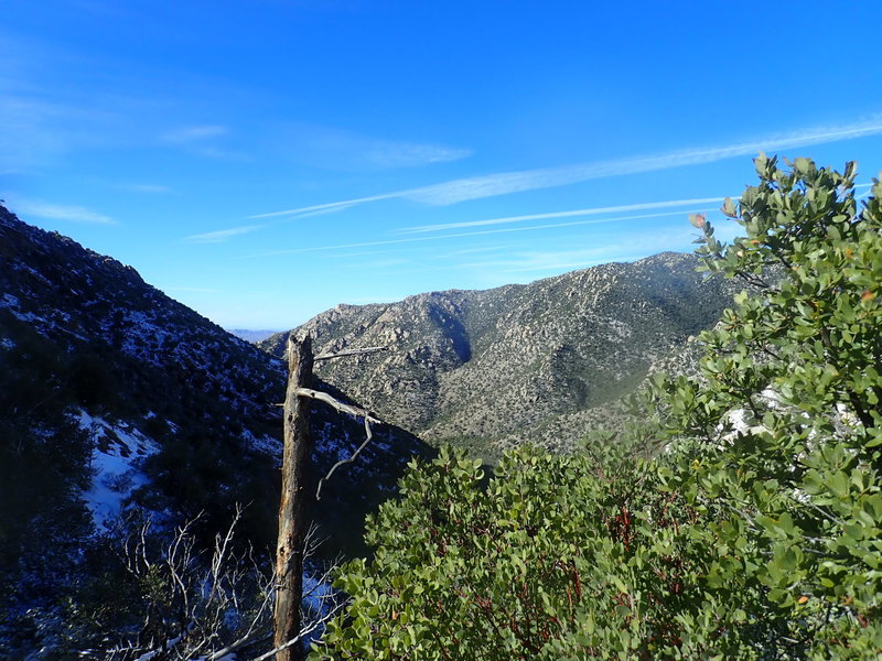 Looking back down Romero Canyon from the top of the pass