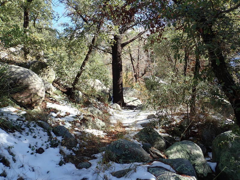 The beginning of the snow. I was over 12 inches just below the pass.