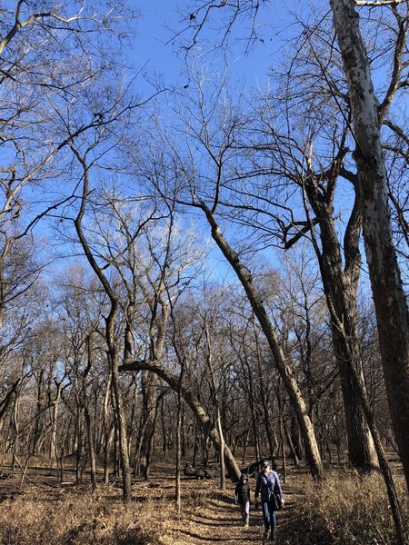 Very peaceful trail, I really enjoyed it out here.