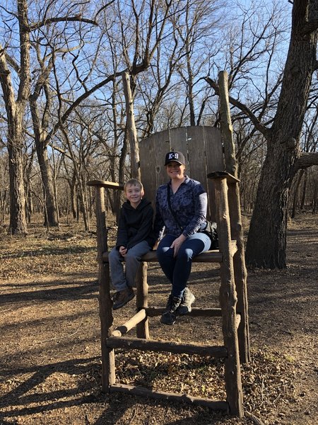 My son was convinced this was bigfoot's chair for when he's in the area.