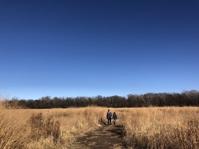 Natural prairie grass are of big and little bluestem