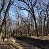 Hiking the spring creek trail